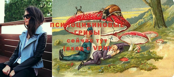 твердый Осташков
