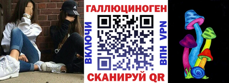 где купить   Новозыбков  Псилоцибиновые грибы Cubensis 