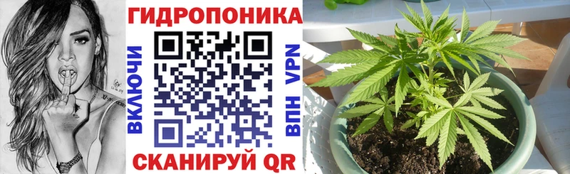 omg рабочий сайт  Новозыбков  МАРИХУАНА планчик  купить наркоту 